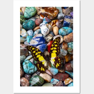 Yellow And Black Butterfly On Polished Stones Posters and Art